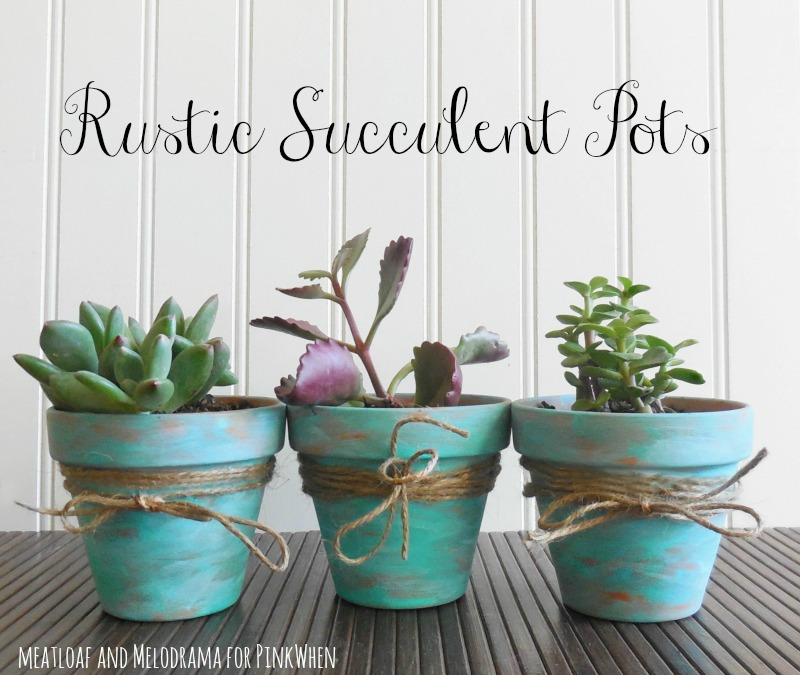 10 Easy, Budget Friendly Spring Décor Projects - Rustic-Succulent-Pots - Life on Kaydeross Creek